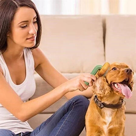 Leyloş Plastik Yeşil Evcil Hayvan Bakım  Pet Fırçası Çok Amaçlı Pet Fırçası Yeşil