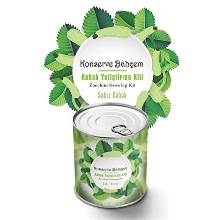 Leyloş Konserve Bahçem Evde Konservede Sakız Kabak Yetiştirme Kiti