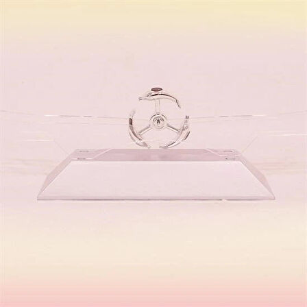 Leyloş Dekoratif Masa Üstü Obje Manyetik Kinetik Orbital Dönen Yunuslar