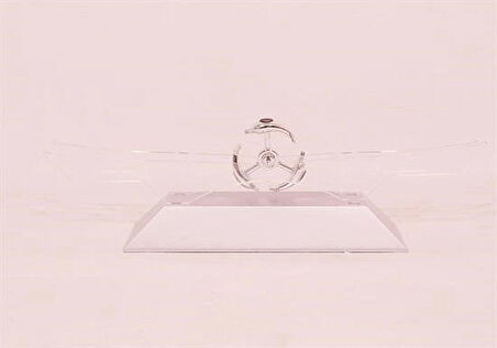 Leyloş Dekoratif Masa Üstü Obje Manyetik Kinetik Orbital Dönen Yunuslar