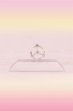 Leyloş Dekoratif Masa Üstü Obje Manyetik Kinetik Orbital Dönen Yunuslar