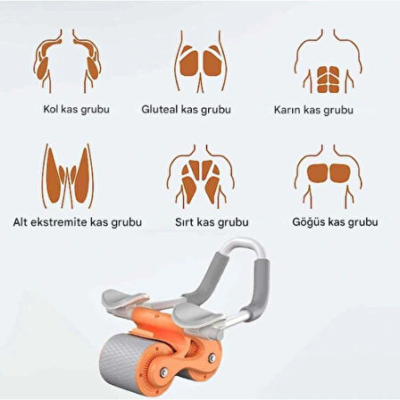 Ab Roller Karın Kası Egzersiz Tekerleği
