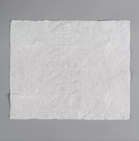 Suda Büyüyen Sıkıştırılmış Mendil 20 Adet