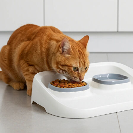 Leyloş Gri 2'si 1 Arada Mama Ve Su Kabı