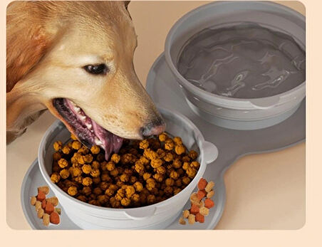 Leyloş Katlanabilir İkili Mama Ve Su Kabı