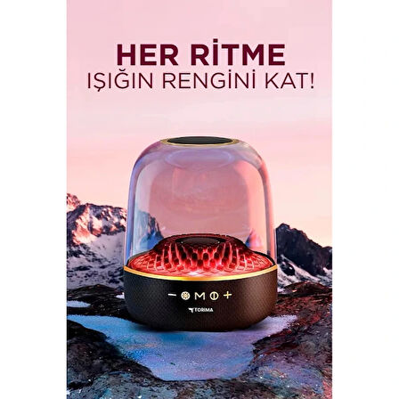 D33 Siyah Taşınabilir Kablosuz Bluetooth Hoparlör