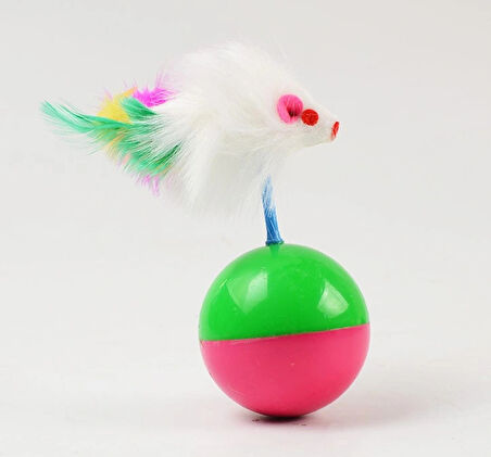 Kedı Oyun Topu Farelı Hacı Yatmaz