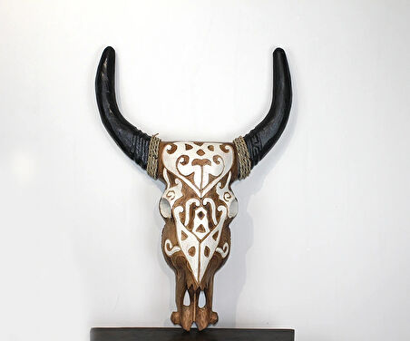 Duvara Asmalı Bufalo Kafası