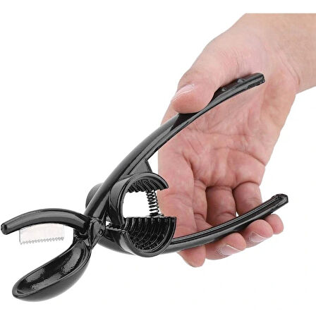 2'si 1 Arada Kestane Çizici Ve Ceviz Kıracağı