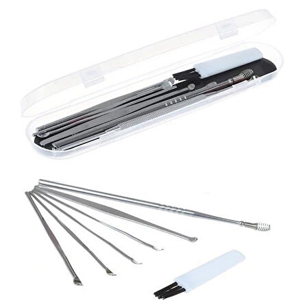 Leyloş 6 Parça Paslanmaz Çelik Kulak Balmumu Toplayıcı Çıkarıcı Temizleyici Bakımı Çubuk Seti