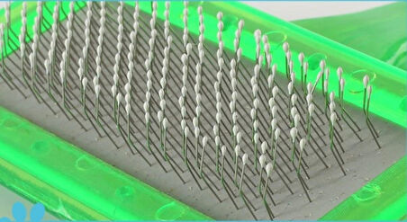 Kedi Tüy Toplayıcı Fırça 4 Renk