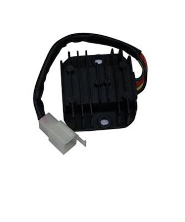 Skm Regülatör 5 Fişli Dişi Fiş