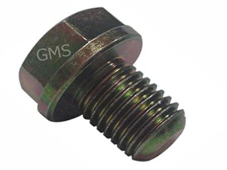 Skm Şanzıman Alt Tapa Vidası Cg