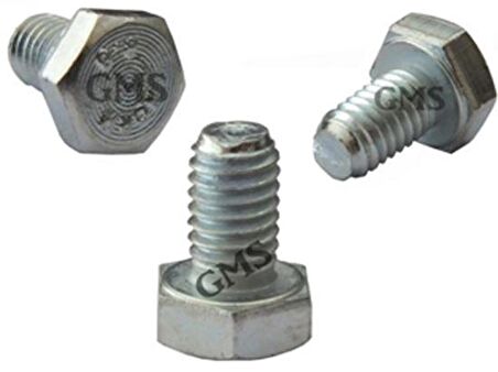 Skm Ön Dişli Vida 6x10 Cg-cub