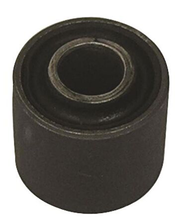 Skm Arka Amörtisör Burcu Demirli Sct