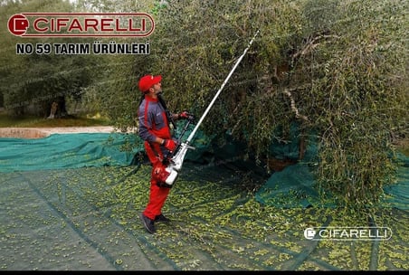 Cifarelli Sc 605 Zeytin Hasat Makinesi Yeni Model