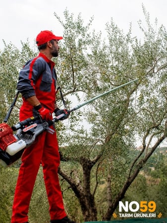 Cifarelli Sc 605 Zeytin Hasat Makinesi Yeni Model