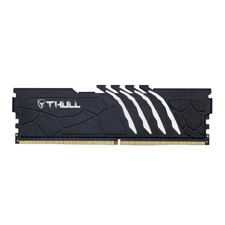 Thull 16 GB 5600 MHz DDR5 Masaüstü RAM Bellek Siyah Soğutuculu