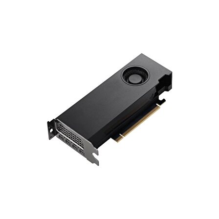 Pny Quadro RTX A2000 SB 12GB GD6 4mDp Çeviricisiz