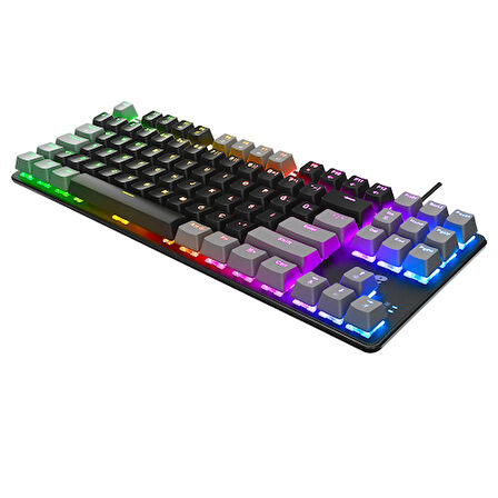ACER eMachines, EAK87, Siyah/Gri, USB Kablolu, RGB Backlight, RED Switch, Mekanik, Türkçe Q, 87 Tuşlu, Gaming Klavye