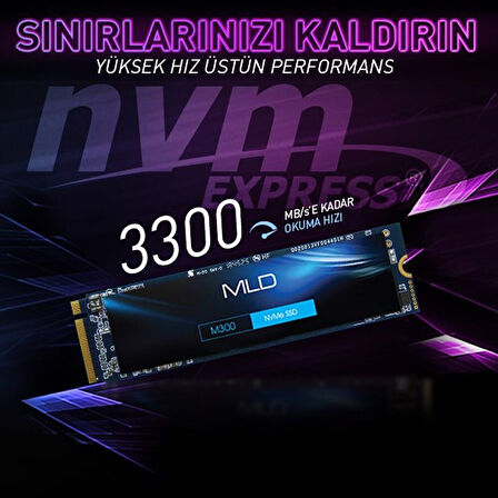  M300 1TB NVME 2280 Gen3x4 SSD R:3300/ W: 3100 MB