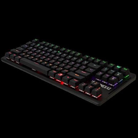 GAMDIAS HERMES-E2, USB Kablolu, İngilizce,  Mekanik Switch, 7 Renk, Gaming Klavye