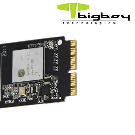 BSSDA900/2T A900 2TB PCIe 3.0 x4 Apple SSD