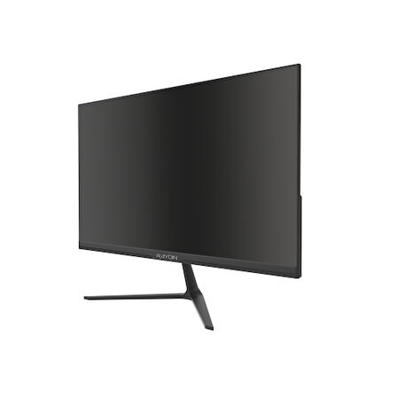 RAYDIN ALISA, 24&quot;, 2ms, 75Hz, Full HD, D-Sub, HDMI, Frameless, VA LED Monitör (Siyah)
