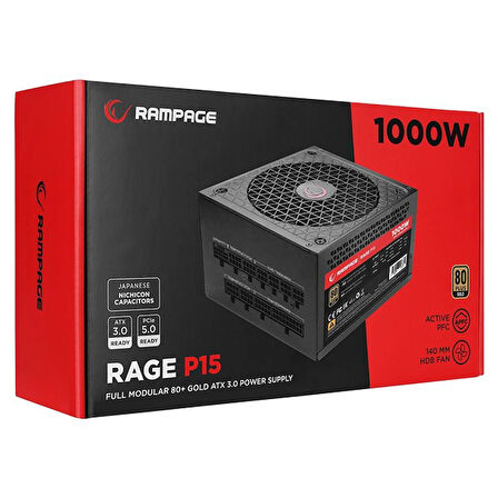  1000W 80+ Gold ( RAGE P15 Gen 5.0 ) PCIE5