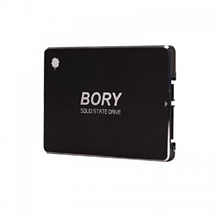 BORY R500-C512G 512Gb 550/510 SATA3 SSD 