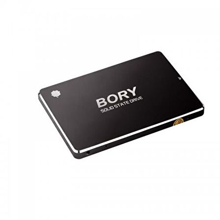 BORY R500-C512G 512Gb 550/510 SATA3 SSD 