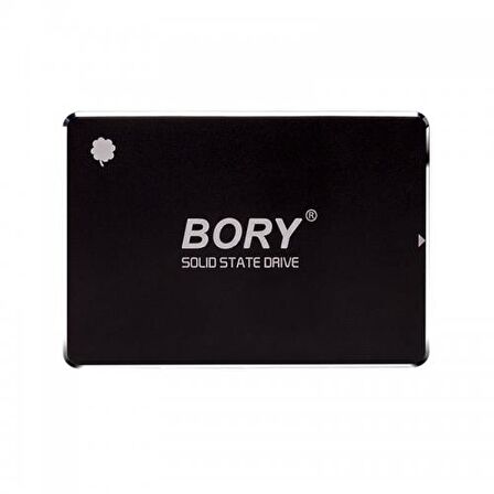 BORY R500-C512G 512Gb 550/510 SATA3 SSD 