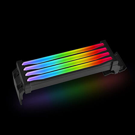  pacific r1 plus ddr4 rgb bellek aydınlatma kiti