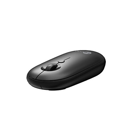 WS212 KABLOSUZ 1600 DPI SİYAH MOUSE