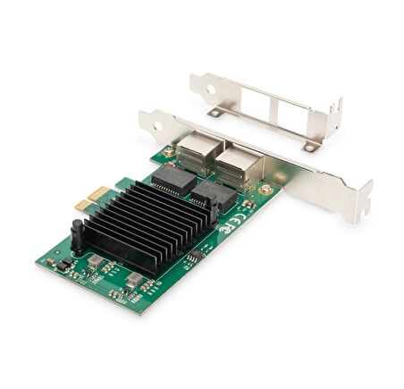 DN-10132 PCI Express Kartı (2xRJ-45 Port)