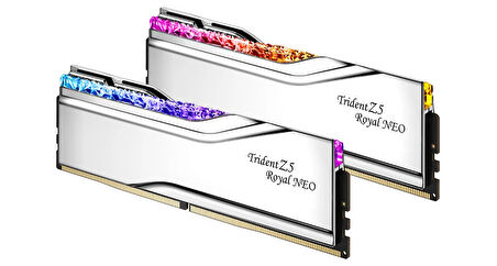  TZ5 Royal Neo Silver RGB DDR5-8000Mhz CL38 32GB (2X16GB) DUAL (38-48-48-128) 1.40V AMD EXPO