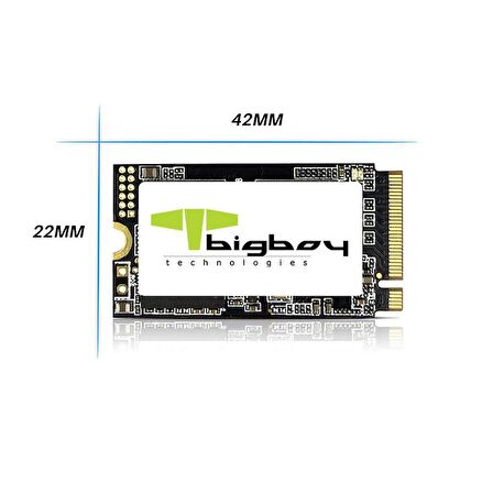 1TB 22x42mm PCIe 3.0 x4 M.2 NVMe Notebook SSD