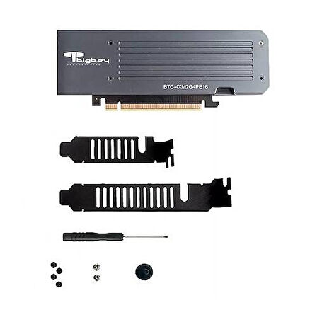  PCIe 4.0 x4 M.2 x16 Soğutuculu 4xNVMe Çevirici Ünite