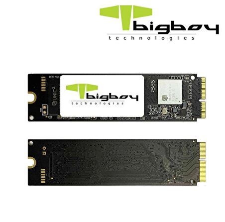 A900 1TB PCIe 3.0 x4 Apple SSD