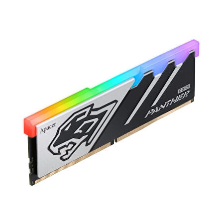  Panther RGB 16GB 1x16GB 6000MHz CL40 DDR5 Gaming Ram (AH5U16G60C6229BAA-1)