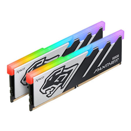  Panther RGB 16GB 1x16GB 6000MHz CL40 DDR5 Gaming Ram (AH5U16G60C6229BAA-1)