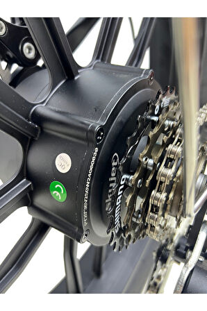 SkyJet Robusto Premium 750W  Elektrikli Bisiklet