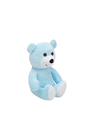 Sevimli Ayıcık Peluş Oyuncak 15 cm
