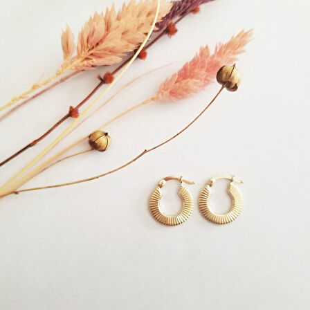 Mini İstiridye Altın Küpe 14 Ayar 1,5 cm
