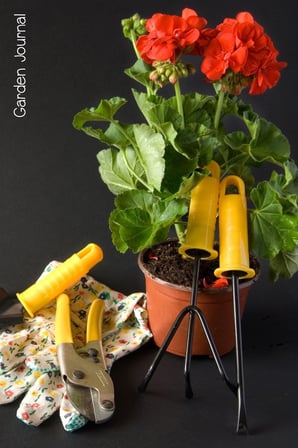 Garden Journal: Geranium and Tools Gardening Journal, Lined Journal, Diary Notebook 6 x 9, 150 Pages