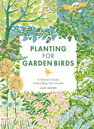 Planting for Garden Birds: A Grower's Guide to Creating a Bird-Friendly Habitat