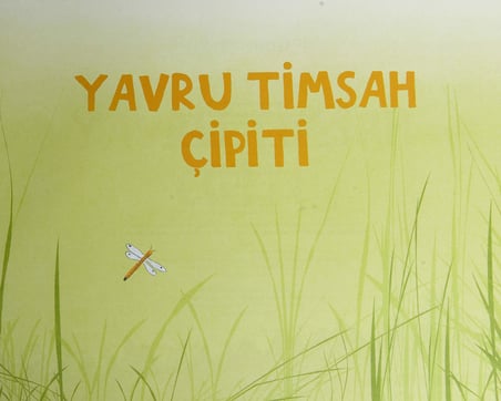 Yavru Timsah Çipiti
