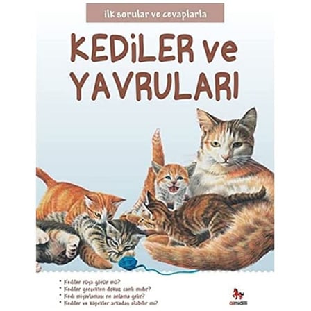 Kediler ve Yavruları: İlk Sorular ve Cevaplarla