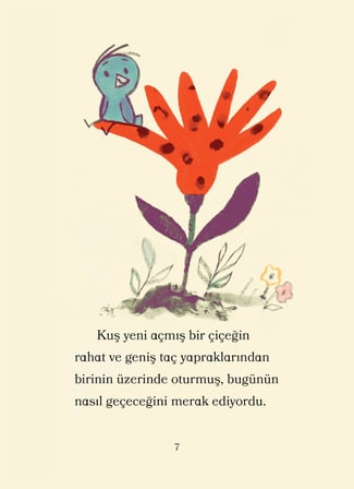 Ayı ile Kuş - ve Öyküler