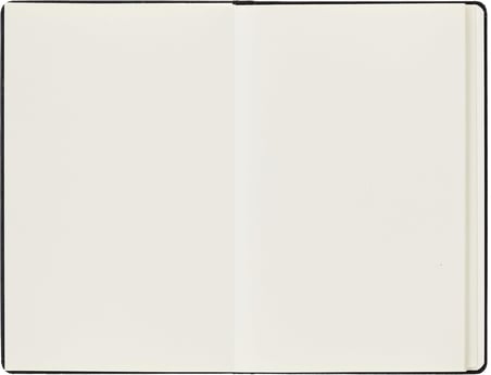 Moleskine Large Japanese Accordion Album
